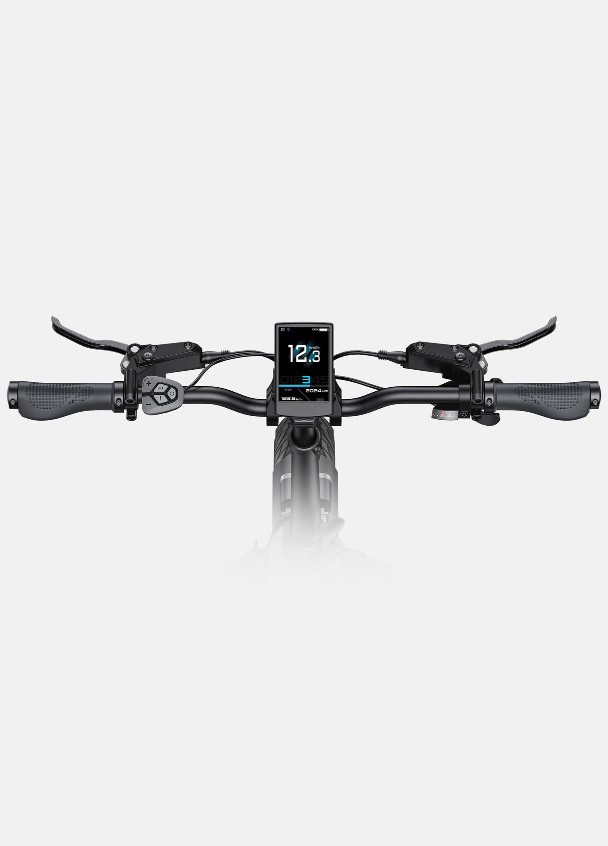 Écran pour ENGWE L20 3.0 Pro