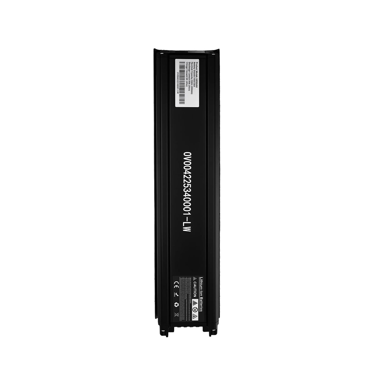 Batterie 20 Ah pour OVIVO HYPER V6 / V6 PRO