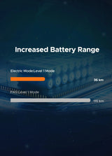 Batteria posteriore 48V13Ah per EP-2 PRO + portapacchi posteriore ENGWE