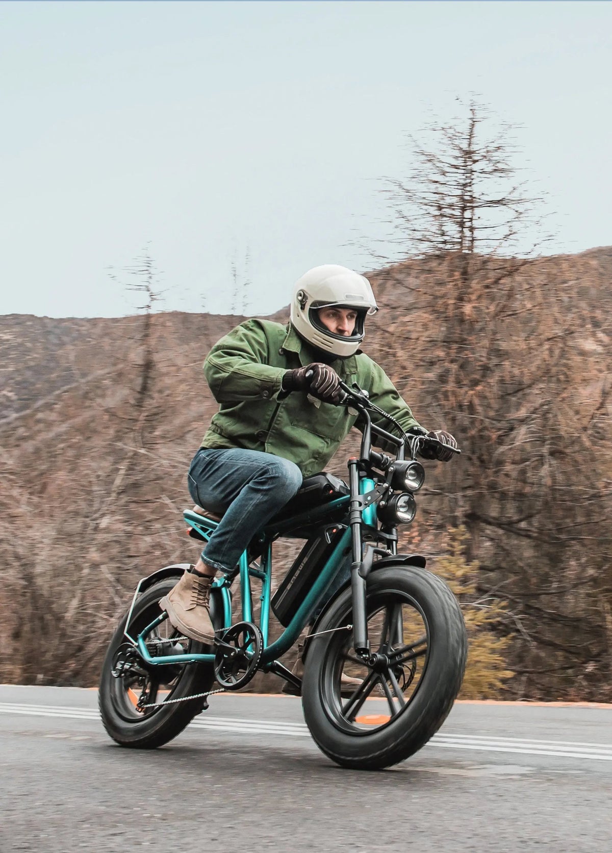 ENGWE M20 Bicicletta Elettrica ENGWE
