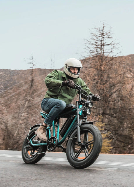 ENGWE M20 Bicicletta Elettrica ENGWE