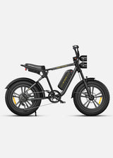ENGWE M20 Bicicletta Elettrica ENGWE