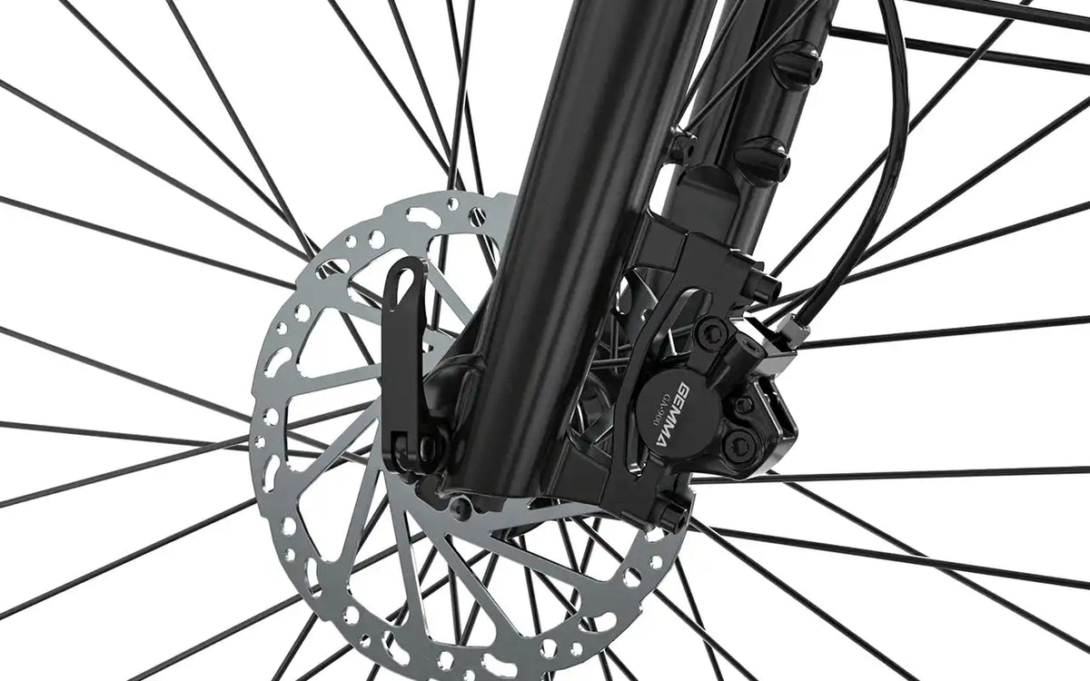 Vélo électrique JOBOBIKE Dyno GT à courroie carbone