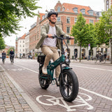 OVIVO V2 à double batterie Vélo électrique